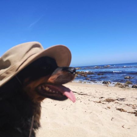 Departamento En Playa Las Cadenas Algarrobo Kültér fotó