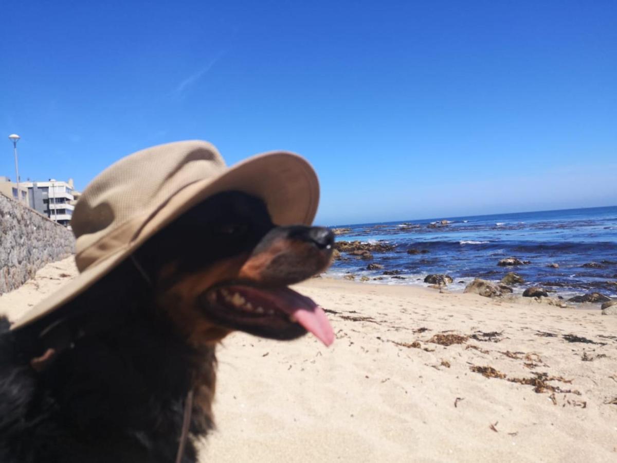 Departamento En Playa Las Cadenas Algarrobo Kültér fotó
